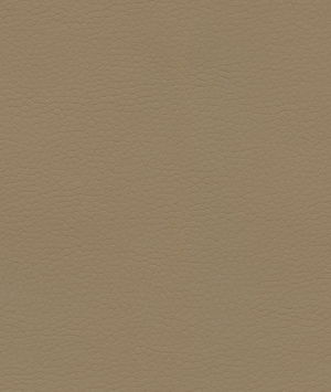 Ultrafabrics® Coast Savanna Fabric