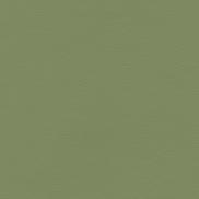 Ultrafabrics® Coast Stem Green Fabric