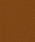 Ultrafabrics® Uf Select® Montage Old Penny Fabric