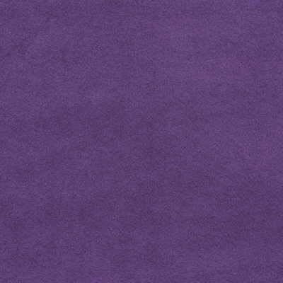 Kravet ULTRASOFT.10 Grape Fabric