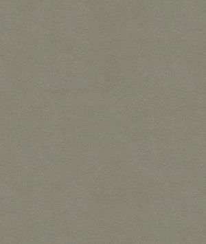 Kravet ULTRASUEDE.1130 Lead Fabric