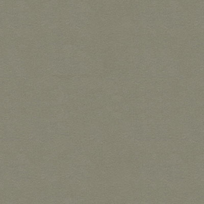 Kravet ULTRASUEDE.1130 Lead Fabric