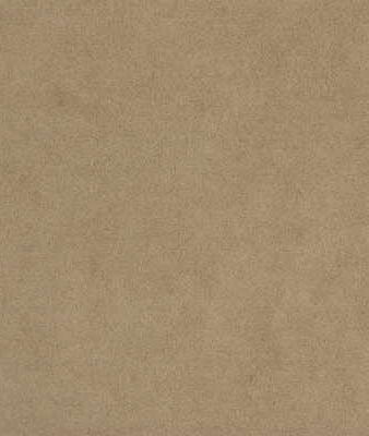 Kravet ULTRASUEDE.1166 Shroom Fabric