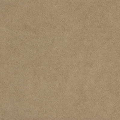 Kravet ULTRASUEDE.1166 Shroom Fabric