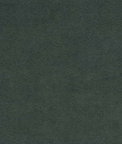 Kravet ULTRASUEDE.330 Alpine Fabric