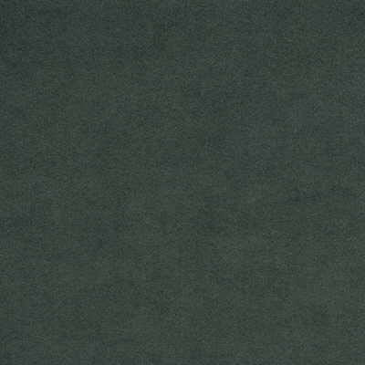 Kravet ULTRASUEDE.330 Alpine Fabric