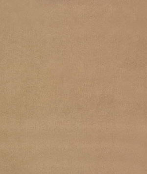 Kravet ULTRASUEDE.6116 Chino Fabric