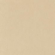 Toray Ultrasuede® HP 3280 Chamois Fabric