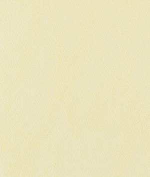 Toray Ultrasuede® HP 3424 Chablis Fabric