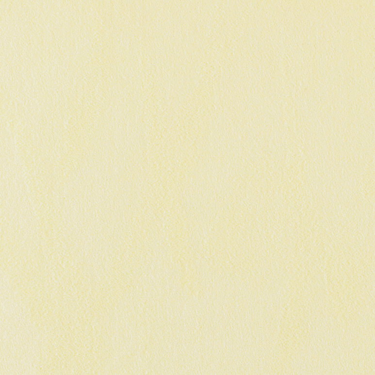 Toray Ultrasuede® HP 3424 Chablis Fabric