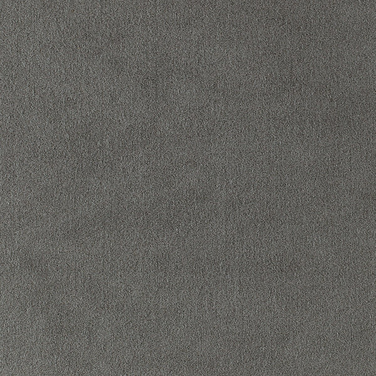 Toray Ultrasuede® HP 3496 Mink Fabric