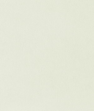 Toray Ultrasuede® HP 3502 Cement Fabric