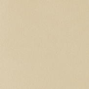 Toray Ultrasuede® HP 3581 Doe Fabric
