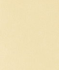 Toray Ultrasuede® HP 3910 Tapioca Fabric