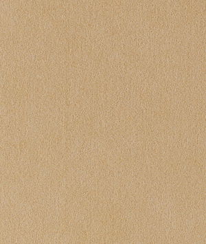 Toray Ultrasuede® HP 3916 Doeskin Fabric