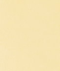 Toray Ultrasuede® ST 3576 Country Cream Fabric