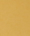 Toray Ultrasuede® ST 5359 Blonde Fabric