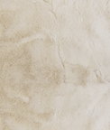 ABBEYSHEA Polarbear 601 Cream Fabric