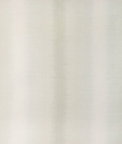 Kravet Vanish Lichen Fabric