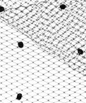 Black Dotted Russian Netting Fabric