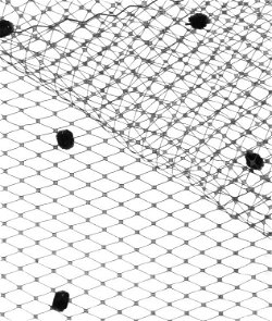 Black Dotted Russian Netting