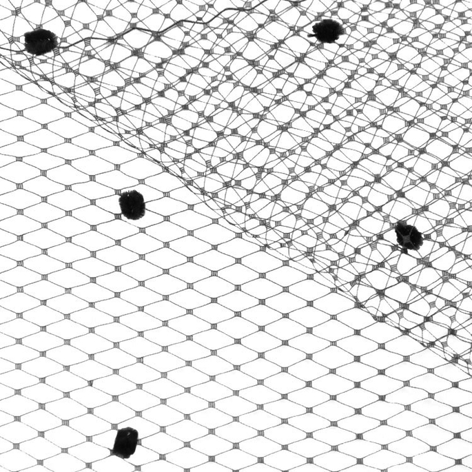 Black Dotted Russian Netting Fabric image 1 of 1