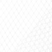 White Russian Netting Fabric