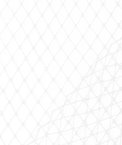 White Russian Netting Fabric