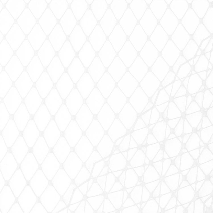 White Russian Netting Fabric image 1 of 1