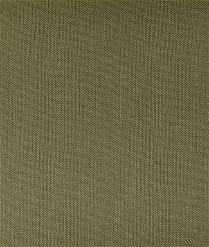 Kravet Ventura Willow Fabric