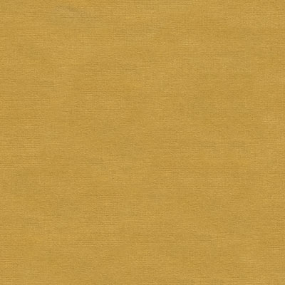 Kravet VERSAILLES.E21708 Fabric
