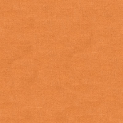 Kravet VERSAILLES.E22008 Fabric