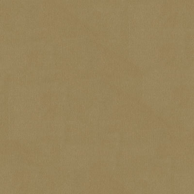 Kravet VERSAILLES.E24205 Fabric