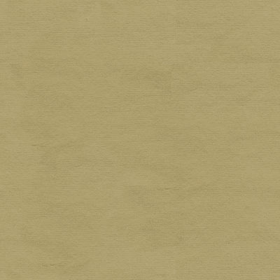 Kravet VERSAILLES.E24428 Fabric