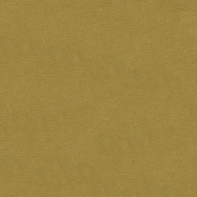 Kravet VERSAILLES.E26049 Fabric