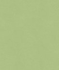 Kravet VERSAILLES.E26079 Fabric