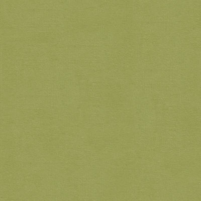 Kravet VERSAILLES.E26120 Fabric