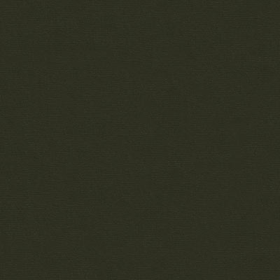 Kravet VERSAILLES.E26325 Fabric