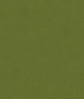 Kravet VERSAILLES.E26500 Fabric