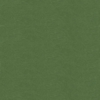 Kravet VERSAILLES.E26608 Fabric