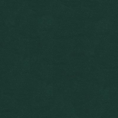 Kravet VERSAILLES.E26702 Fabric