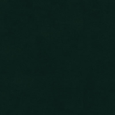 Kravet VERSAILLES.E26704 Fabric