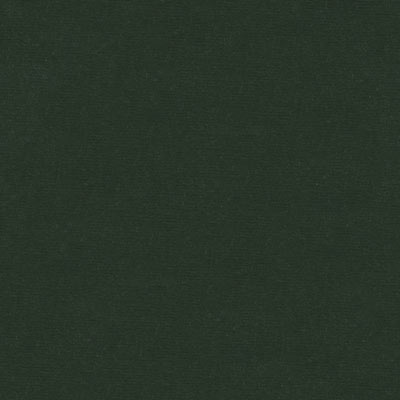 Kravet VERSAILLES.E26782 Fabric