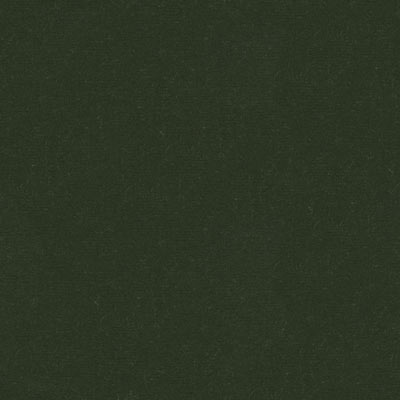 Kravet VERSAILLES.E26914 Fabric