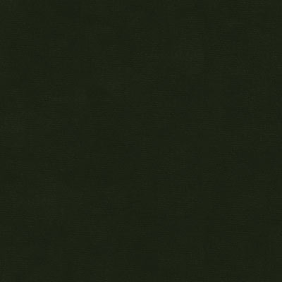 Kravet VERSAILLES.E26920 Fabric