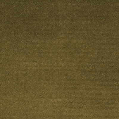 Kravet VERSAILLES.E28445 Fabric