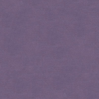 Kravet VERSAILLES.E29808 Fabric