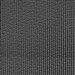 Premier Prints Vine Black Canvas Fabric
