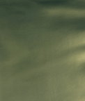 RK Classics Sunlit Green Glow Vinyl