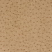 RK Classics Karoo Orix Vinyl